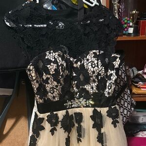 Windsor Black Lace Over Champagne Prom Dress